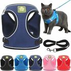 Pet Puppy Harness Breathable Mesh And Leash Set Vest Chest Strap Small Dog Xs-xl