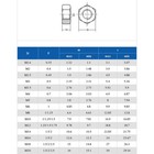 M2 M2 5 M3 M4 M5 M6 M8 M10 M12 M14 M16 M18 M20 Nylon Hex Nuts White black clear