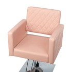 Hydraulic Barber Chair Salon Hair Styling Shampoo Beauty Spa Equipment