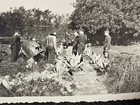 Luftwaffe Officers Soldiers Crashed Plane Wwii Ww2 German Military Wartime Photo