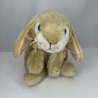 Animal Alley Rabbit Plush Toys R Us Holland Lop Tan White 12    Heavy Weighted