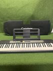 Casiotone Lk-s245   Carrying Case   Pedal - Keyboard Piano  200 Retail