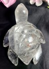 X Large 3 7  263g Clear Quartz W  Rainbows Sea Turtle Crystal Stone Carving