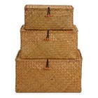 Woven Wicker Storage Bins With Lid Seagrass Basket For Shelf Organizer Extra Lar