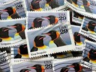 Birds Vintage Bundles Used Stamps - Choose Your Favorite Designs - 25 packet