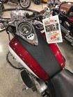 Kawasaki 1500   1600 Vulcan Classic   Nomad   Drifter Tank Bib 1998 - 2008