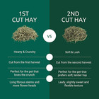 Kaytee 2nd Cut Timothy Hay For Guinea Pigs  Rabbits   Small Pets     Soft   Lush