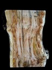 Xl Mind Blowing Red Maple Burl Wood Slab Ambrosia Maple  Charcuterie Blank  Burl