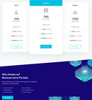 Hosting Service Website Design With Free Vps Web Hosting And Installation