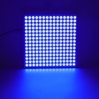 Bronzer Skin Face Body Tanning Lamp 460nm Full Blue 225 Leds Tanning Light