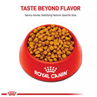 2 Packs  Royal Canin Adult Dry Dog Food - Chihuahua Breed Health Nutrition 10lb