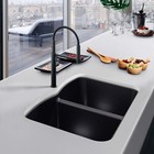 Franke Elg120ony Ellipse Granite Undermount Double Bowl Kitchen Sink  Onyx