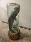 Vintage Wet Specimen Real Baby Shark In A Bottle