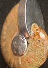 Vintage Nautilus Red Opalescence Fossil Shell Chunky Necklace Pendant 