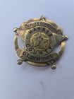 Deputy Constable Badge