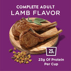 Purina Dog Chow Complete Dry Dog Food For Adult Dogs High Protein  Lamb  44 Lb B