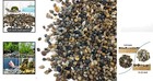 5lb Natural Aquarium Gravel   Decorative Stones - 4-8mm Multi-colored Pebbles