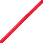 Country Brook Design   3 8 Inch Blaze Orange Reflective Nylon Webbing  10 Yards