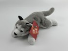 Fao Schwarz Husky Dog Lying Stuffed Animal Plush Adopt A Pet 15    Soft Toy