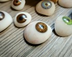 Prosthetic Human Eyes  Vintage Style Acrylic Fake Eyes  Oddities  Curiosities