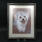 Bichon Maltese Dog Portrait Art Crayon Signed By Mel Tiess 1987