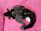 Authentic Jellycat Onyx Dragon Little Black Sparkle New Nwt Retired Plush
