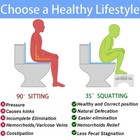 Foldable Toilet Stool Bathroom Squatty Potty Step Stool With Freshener Space