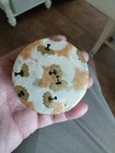 Antique Vintage French Coty Paris White Face Powder Makeup Talcum Box Only 