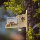 Backyard Squirrel Feeder  w  Gallon Glass Jar   Handmade Squirrel Food Box