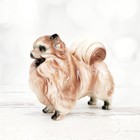 Vintage Ceramic Glossy Pearl Pomeranian Dog 5  Figurine
