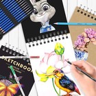 Professional Drawing Supplies Art Set    73 Piece Sketching Kit With Sketch Book