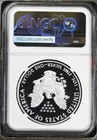2017 Proof Silver Eagle Ngc Pf-70 Ultra Cameo -058