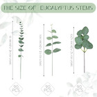 270 Pcs 3 Kinds Mixed Eucalyptus Leaves Stems Bulk Artificial Silver Dollar Leav