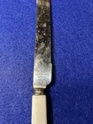 Antique Bridal Cake Knife Sheffield England Stainless Steel Blade Pearl Handle