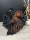 Icelandic Sheepskin Rug Pet Bed Chair Thrown Genuine Blanket Black Brown Accent