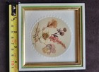 Vintage Framed Dried Flower Art  Made In Gdr  German Democratic Republic  