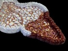 Handmade Resin Conch Shell Trinket Tray