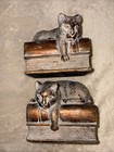 Vintage Kitty Cat On Books Bookends Heavy Decorative 2pc Set Pale Bronze Finish
