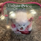 Vintage 1999 Fisher-price Briarberry Collection Berrylynn Bear - Nib - Rare Htf