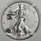 2019 S American Proof Silver Eagle Coa No  13999 Ngc Enhanced Reverse Pf 69