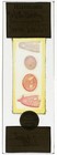 Antique Microscope Slide By A Flatters - Horse Leech- Type Slide - Ls   Ts