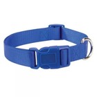 20 X Dog Puppy Collar  Adjustable  14-20  Neck 5 8  Wide  Bulk  Zack   Zoey