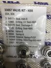 Cat Pumps 33057 Valve Kit Oem  Cat Pump 2dx  Cat Pump 3dx