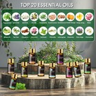 Mayjam Tea Tree 20 Pcs Pure Essential Oil Gift Set For Diffuser Humidifiers