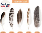 40pcs Natural Pheasant Feathers Bulk Spotted Feathers 5 Styles Mixed Feathers Fo