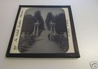 Glass Magic Lantern Slide Florence The Boboli Gardens C1890 Italy Firenze