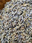 Fragrant Locally Grown Dried Lavender Buds 1 Oz
