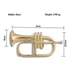 Gold Brass Bb Flugelhorn 3 Valve With Case   Mouthpiece Warm Tone  Smooth action