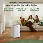 30 80  120  150 Pint Energy Star Dehumidifier For Home  Basement   Large Space