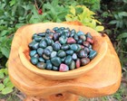 2 Medium Tumbled Bloodstone  crystal Healing Tumble Reiki Gemstone 